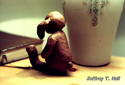 rabbit_mock_back.jpg