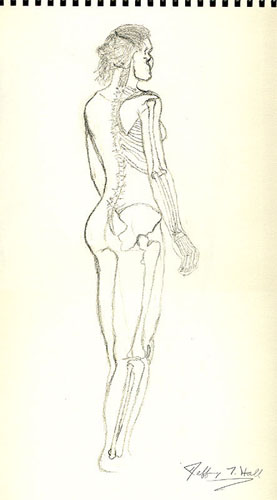 skeletal_01.jpg