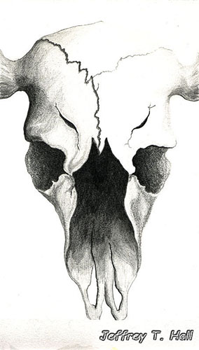 skull.jpg